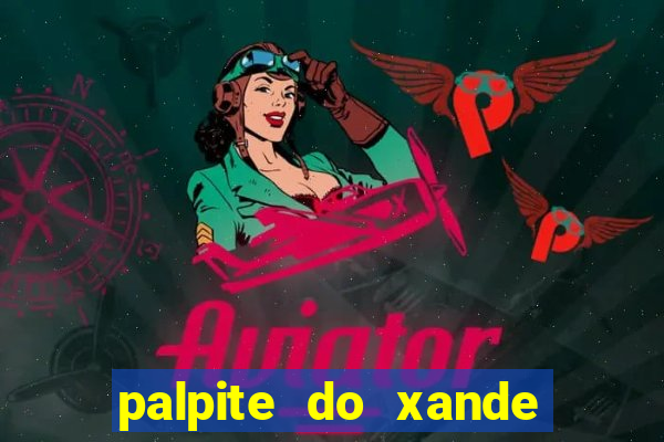 palpite do xande para hoje